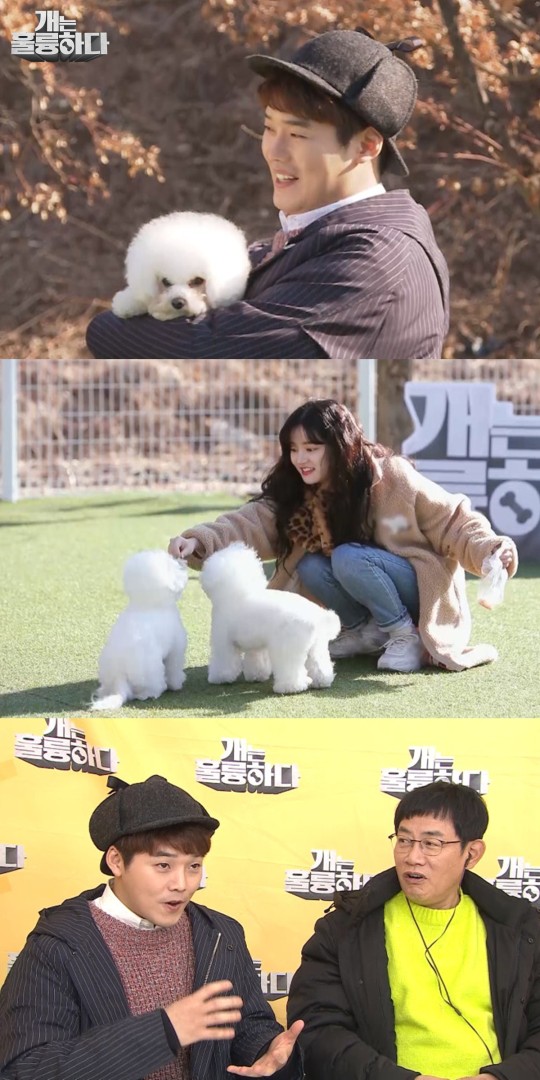 Chó là Kwon Hyuk-soo tuyệt vời, đáng xấu hổ hơn chó