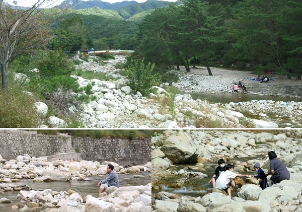 The 91st journey begins in Pocheon, Gyeonggi-do, full of liveliness wherever Kim Young-chul's neighborhood goes